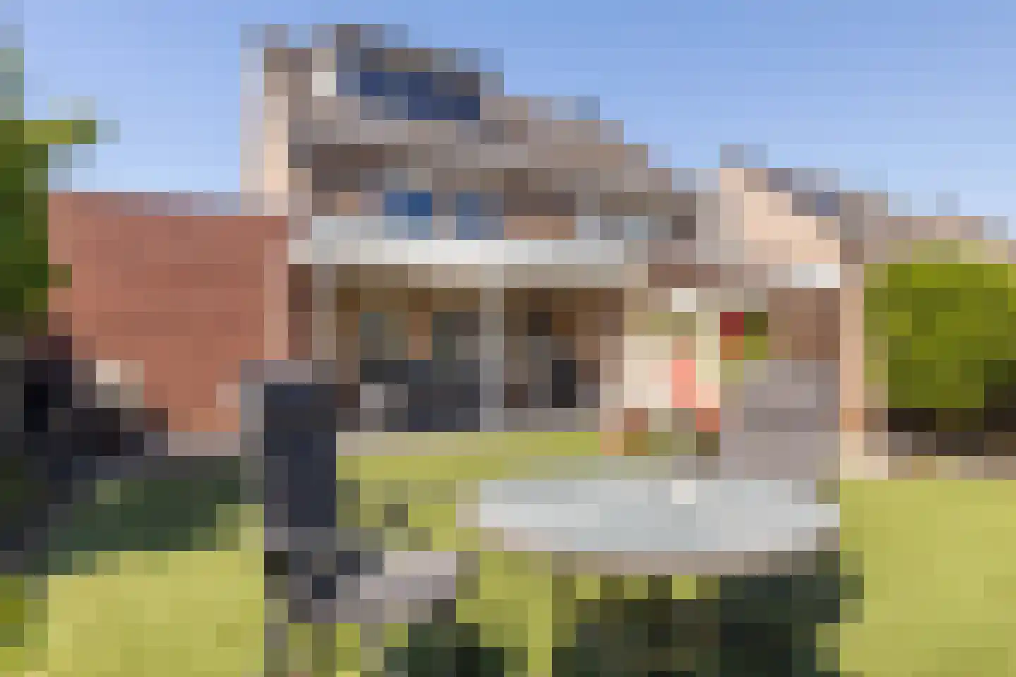 Meidoorn 14 Elsloo thumbnail 47