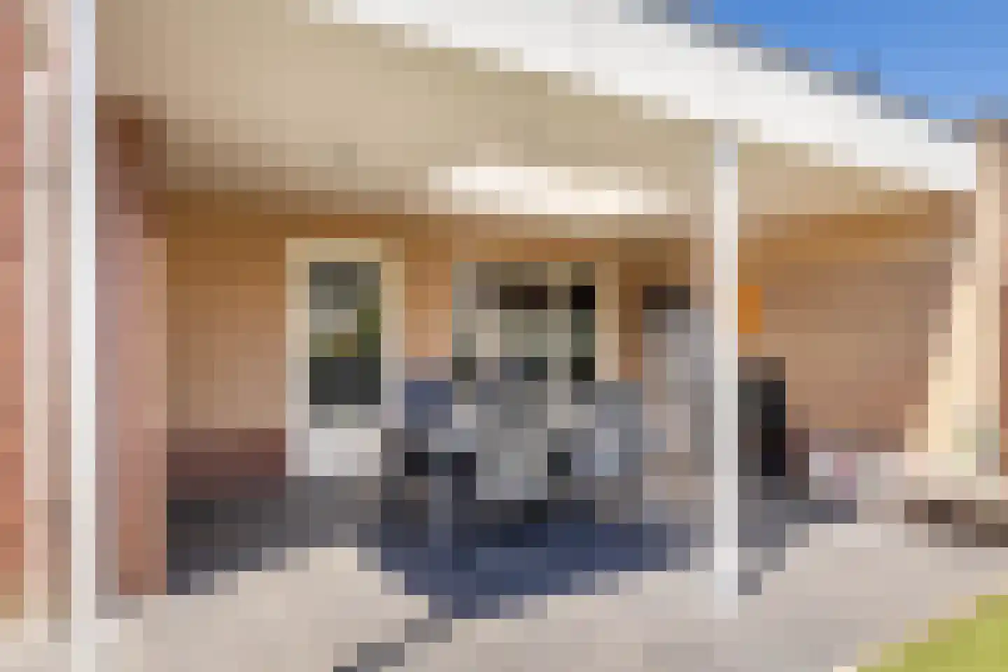 Meidoorn 14 Elsloo thumbnail 49