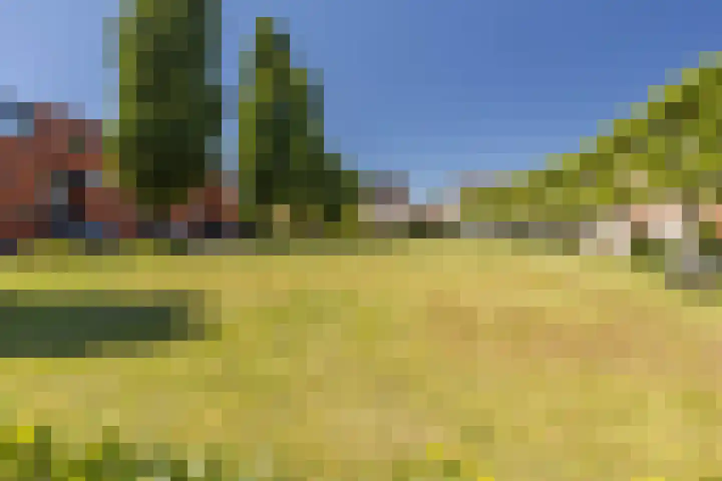 Meidoorn 14 Elsloo thumbnail 6