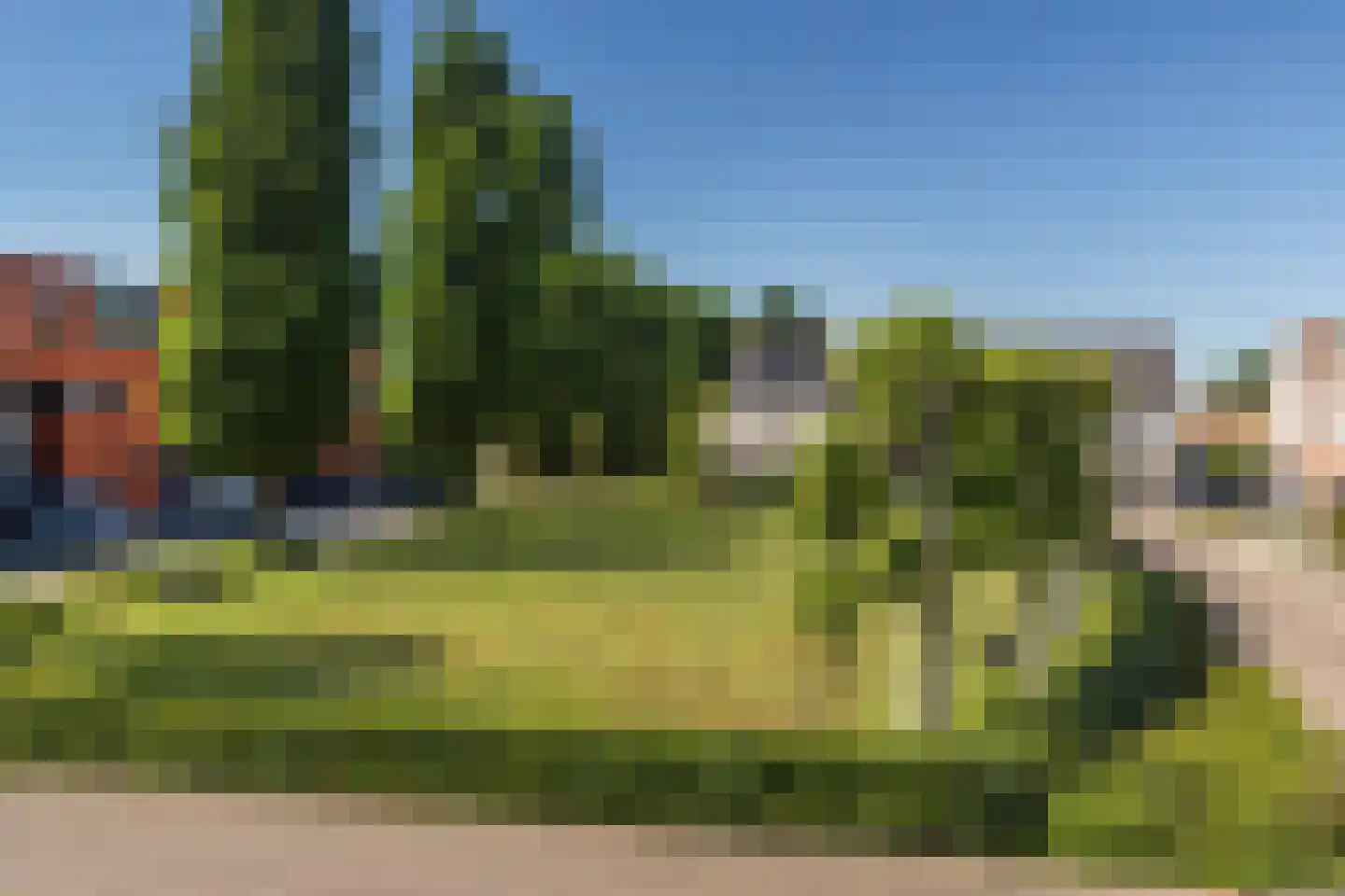 Meidoorn 14 Elsloo thumbnail 7