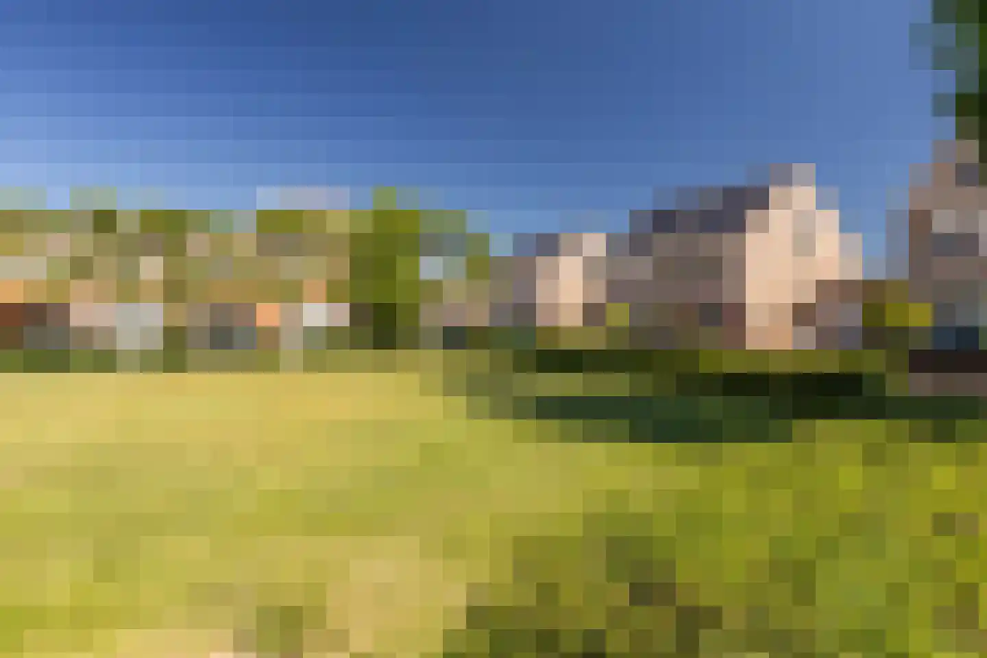 Meidoorn 14 Elsloo thumbnail 8