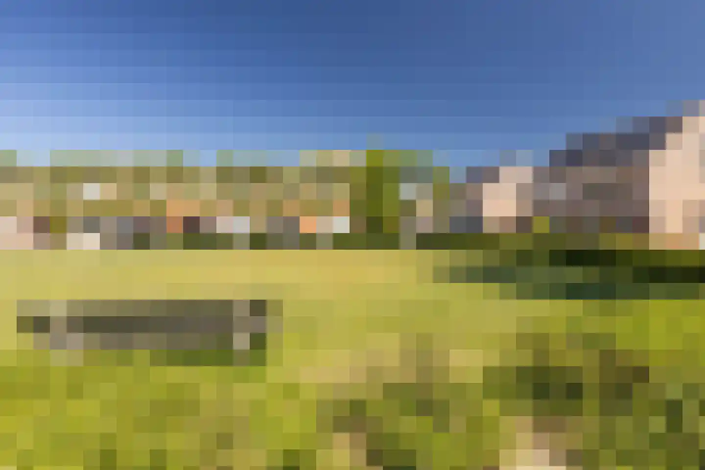 Meidoorn 14 Elsloo thumbnail 9