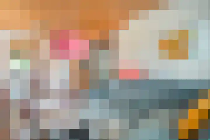 Meidoorn 15 Emmen thumbnail 10