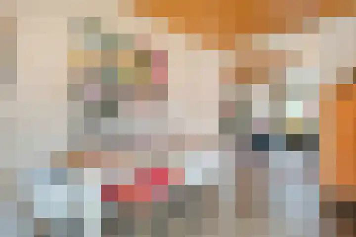Meidoorn 15 Emmen thumbnail 11
