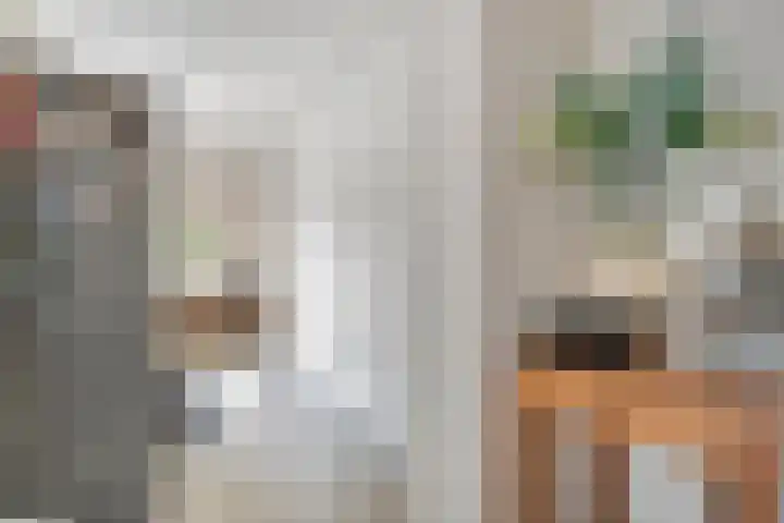 Meidoorn 15 Emmen thumbnail 15