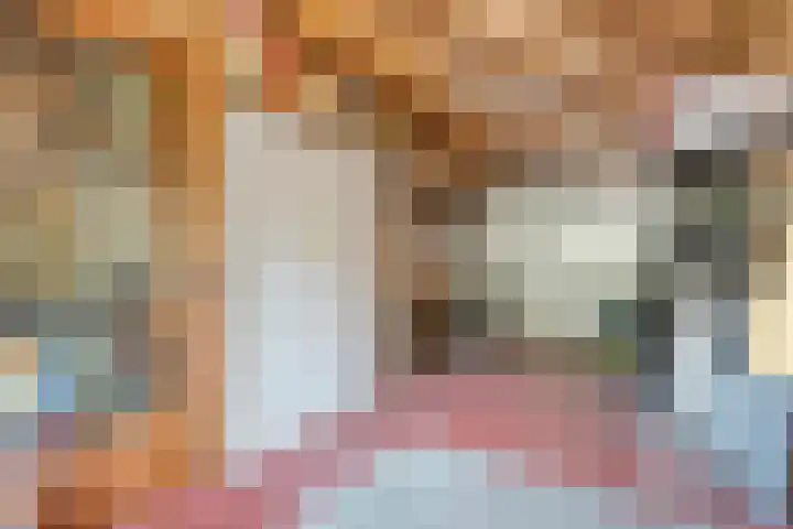 Meidoorn 15 Emmen thumbnail 17