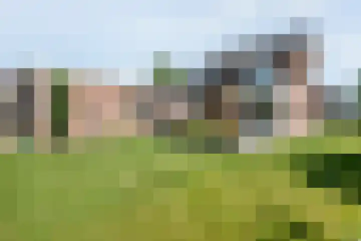 Meidoorn 15 Emmen thumbnail 25