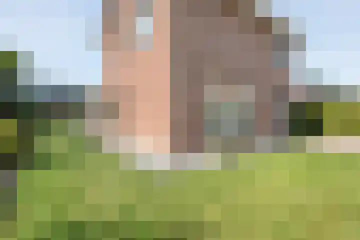 Meidoorn 15 Emmen thumbnail 26