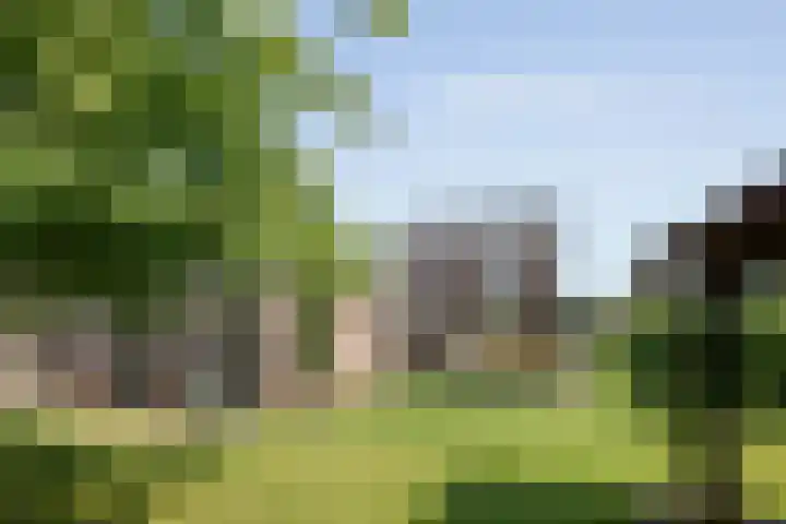 Meidoorn 15 Emmen thumbnail 27