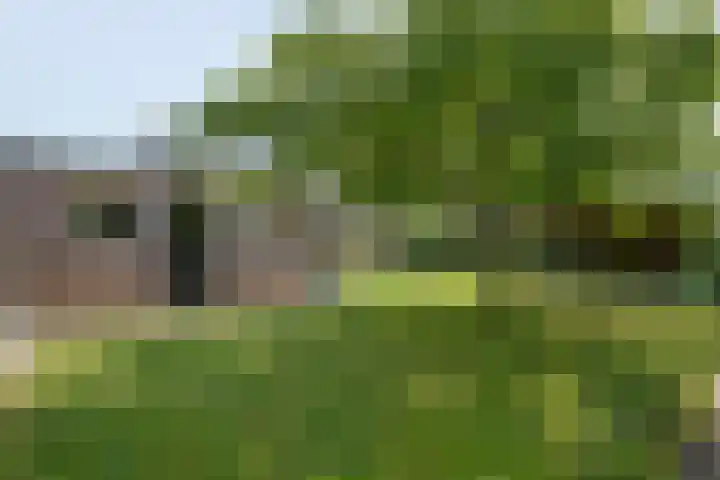 Meidoorn 15 Emmen thumbnail 28