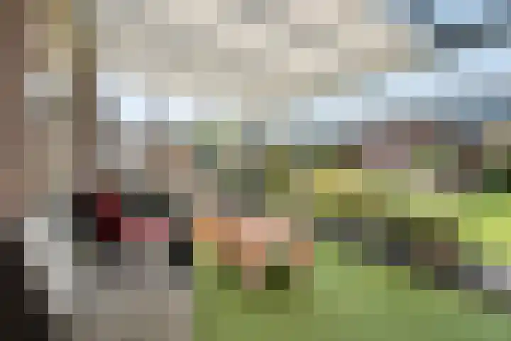 Meidoorn 15 Emmen thumbnail 30