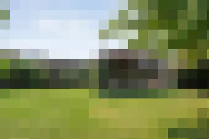 Meidoorn 15 Emmen thumbnail 31