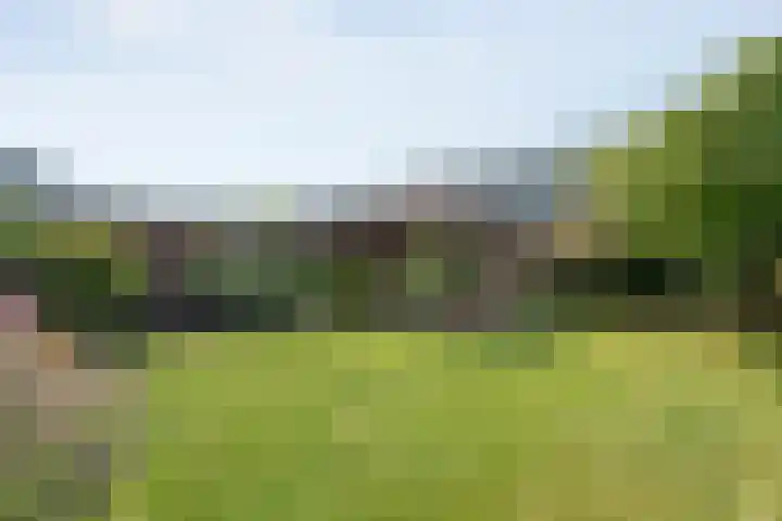 Meidoorn 15 Emmen thumbnail 32