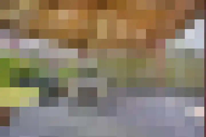 Meidoorn 15 Emmen thumbnail 33