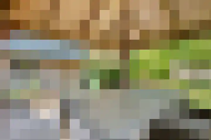 Meidoorn 15 Emmen thumbnail 34