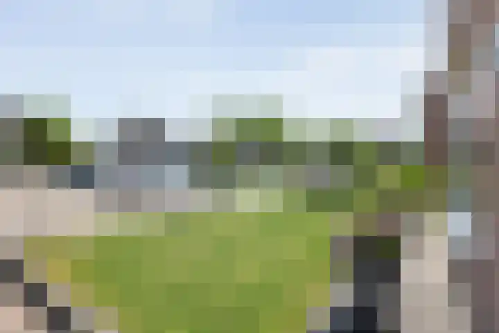 Meidoorn 15 Emmen thumbnail 37