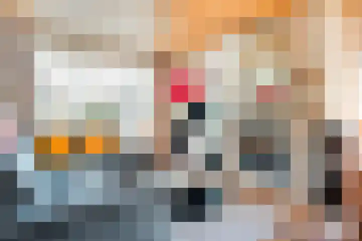 Meidoorn 15 Emmen thumbnail 5