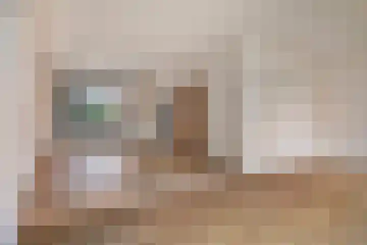 Meidoorn 16 Mierlo thumbnail 14