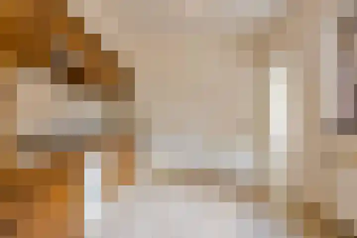 Meidoorn 16 Mierlo thumbnail 17