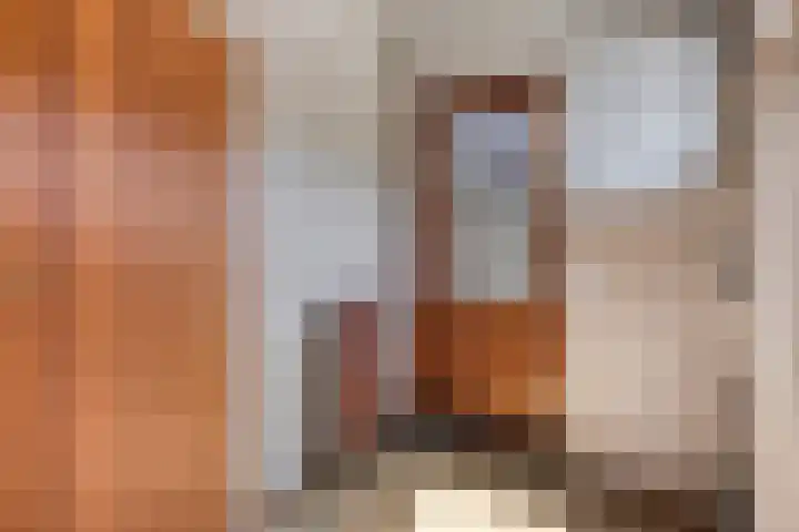 Meidoorn 16 Mierlo thumbnail 19