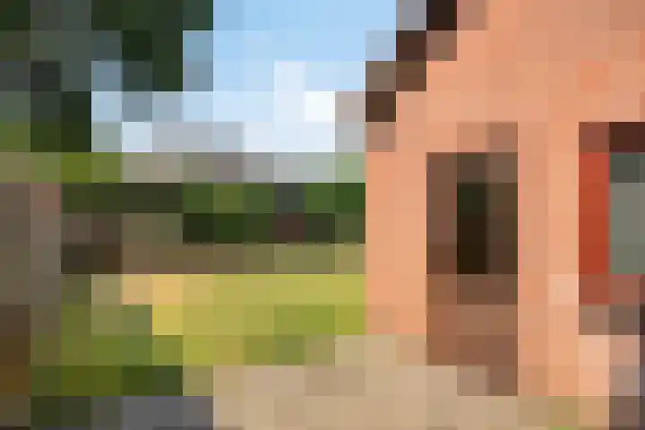 Meidoorn 16 Mierlo thumbnail 20