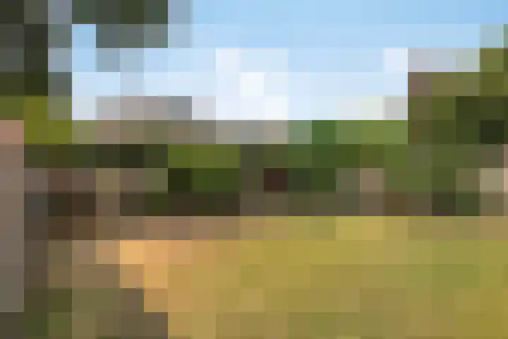Meidoorn 16 Mierlo thumbnail 21