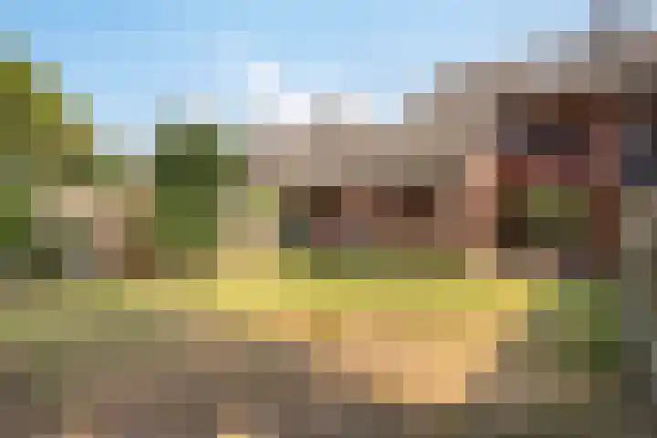 Meidoorn 16 Mierlo thumbnail 22