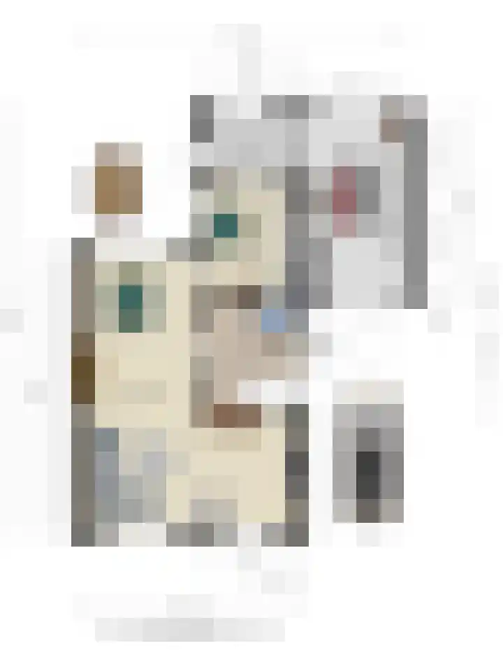 Meidoorn 16 Mierlo thumbnail 23