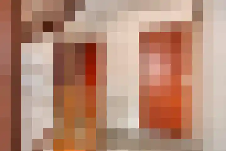 Meidoorn 16 Mierlo thumbnail 24