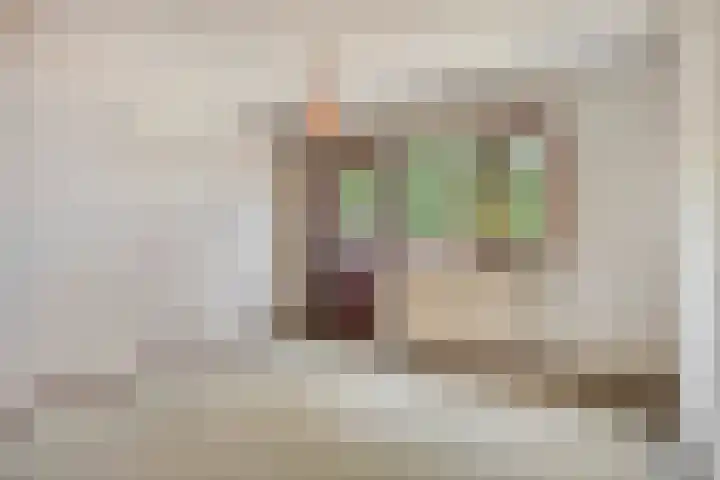 Meidoorn 16 Mierlo thumbnail 26