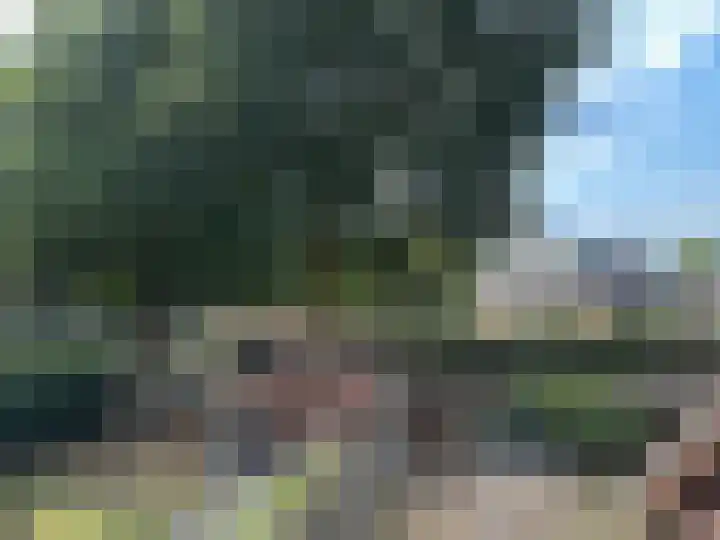 Meidoorn 16 Mierlo thumbnail 29