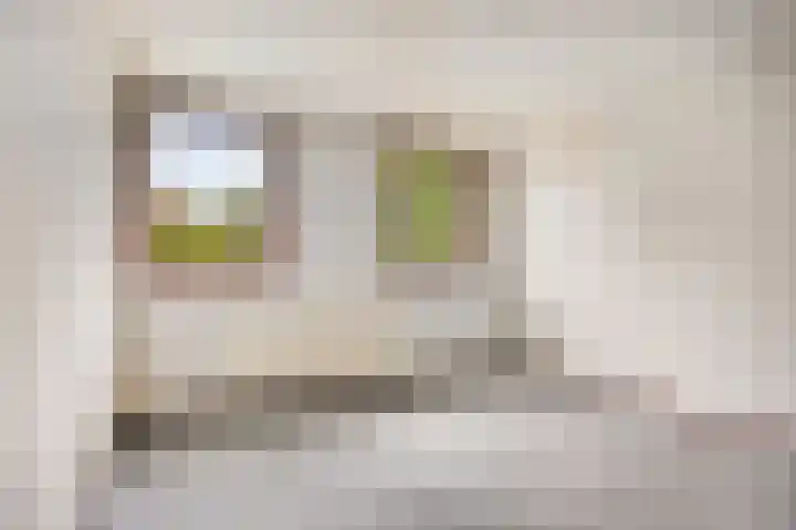 Meidoorn 16 Mierlo thumbnail 33