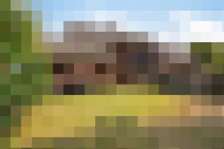 Meidoorn 16 Mierlo thumbnail 41