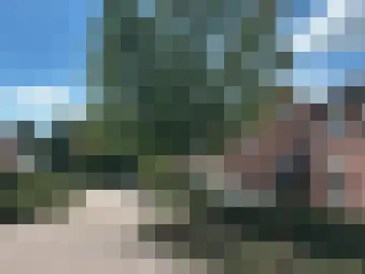 Meidoorn 16 Mierlo thumbnail 43