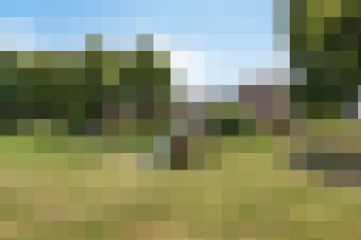 Meidoorn 16 Mierlo thumbnail 46