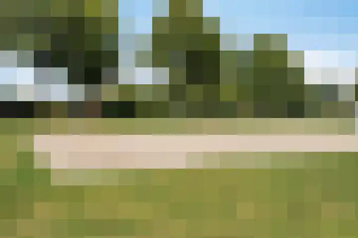 Meidoorn 16 Mierlo thumbnail 47