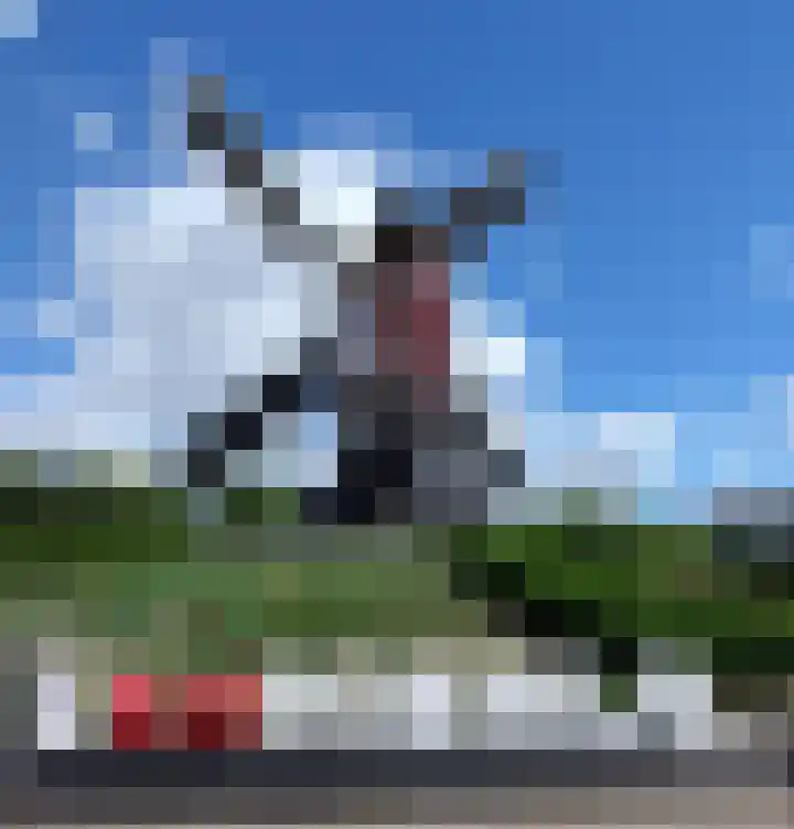 Meidoorn 16 Mierlo thumbnail 48