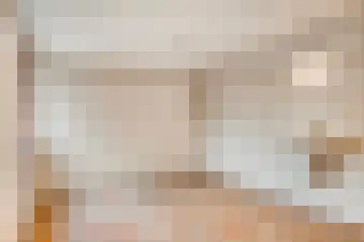 Meidoorn 16 Mierlo thumbnail 5