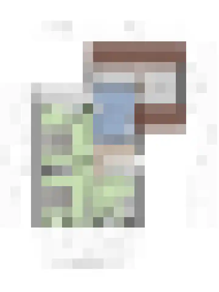 Meidoorn 16 Mierlo thumbnail 50