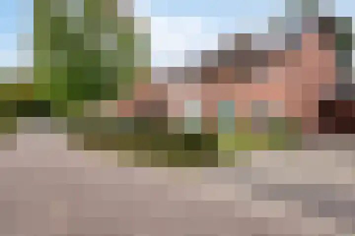 Meidoorn 16 Mierlo thumbnail 6