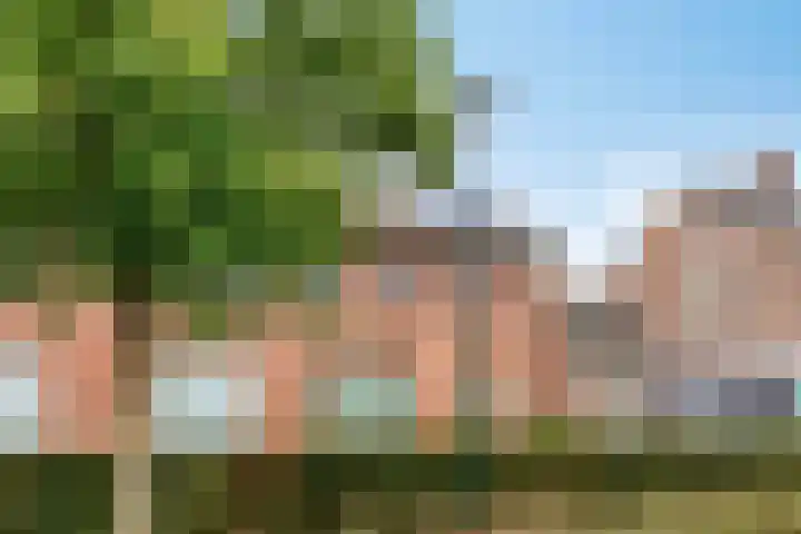 Meidoorn 16 Mierlo thumbnail 7