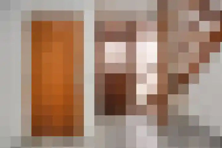 Meidoorn 16 Mierlo thumbnail 8