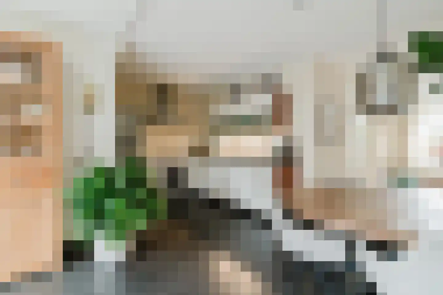 Meidoorn 18 Heino thumbnail 16