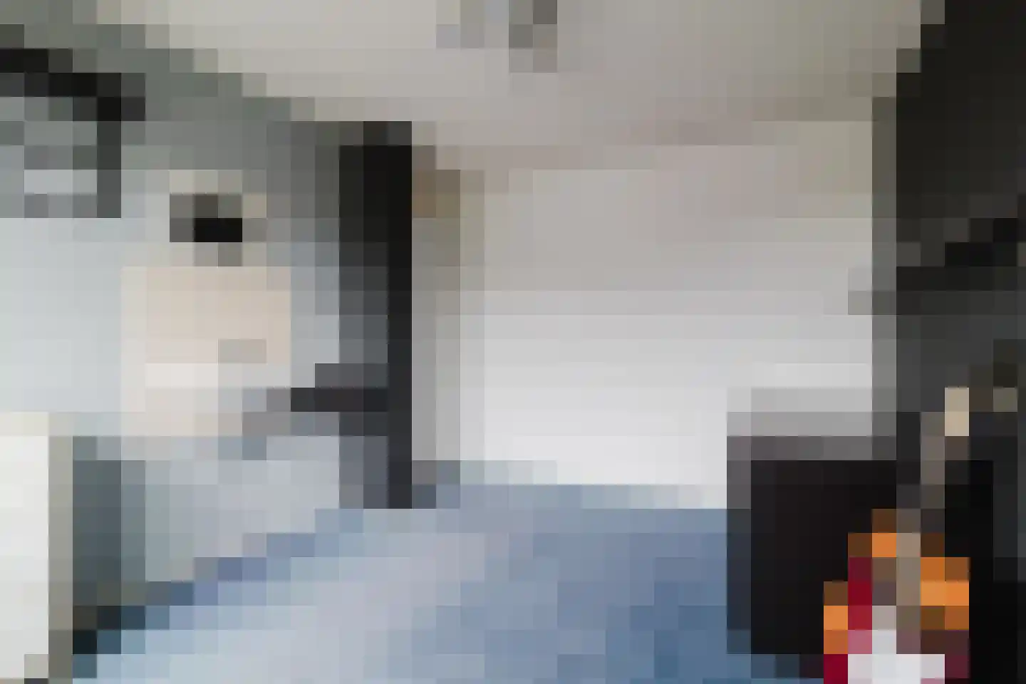 Meidoorn 18 Heino thumbnail 19