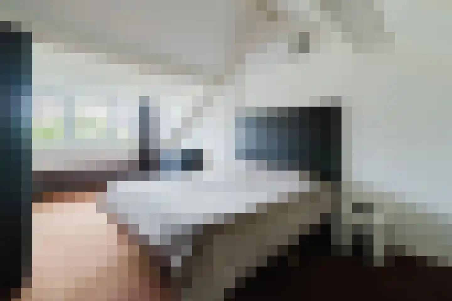 Meidoorn 18 Heino thumbnail 22