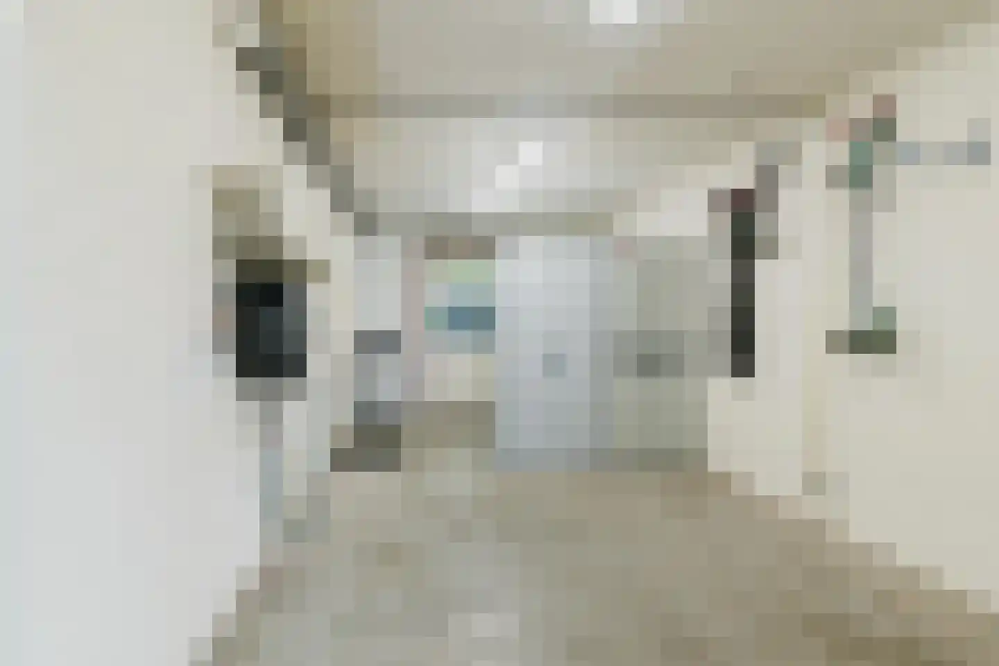 Meidoorn 18 Heino thumbnail 35