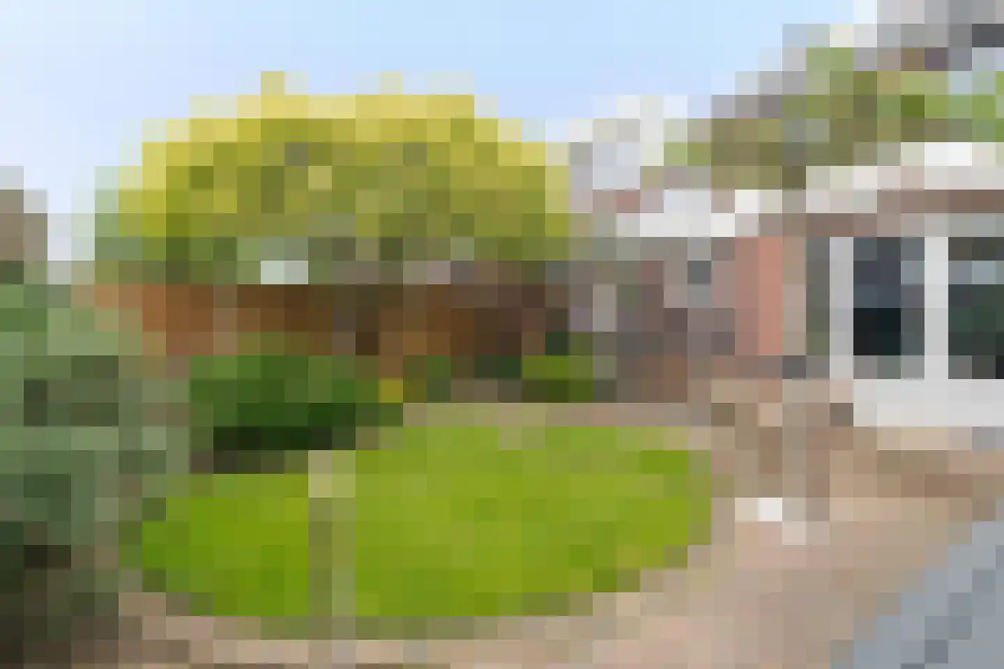 Meidoorn 18 Heino thumbnail 36