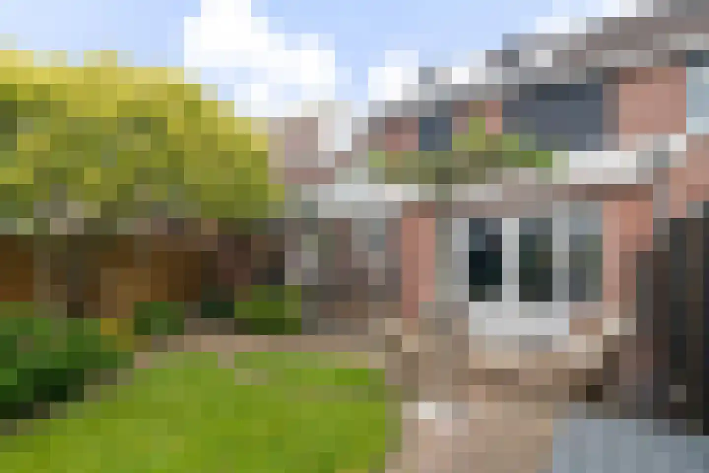 Meidoorn 18 Heino thumbnail 38