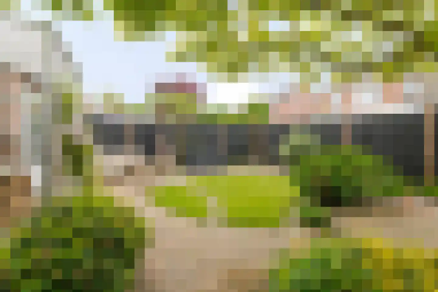 Meidoorn 18 Heino thumbnail 41