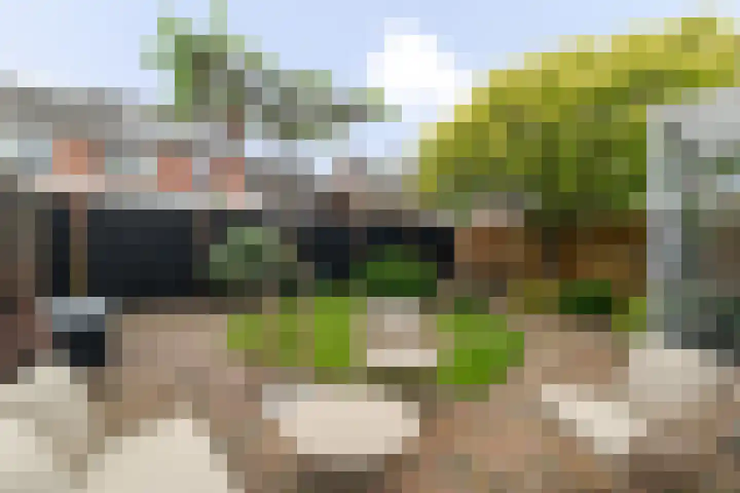 Meidoorn 18 Heino thumbnail 42